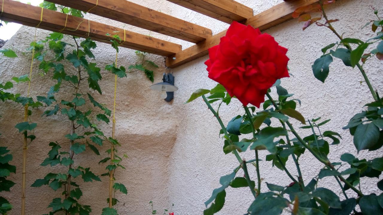 B&B A Casa Di Nonna Massa d'Albe ภายนอก รูปภาพ